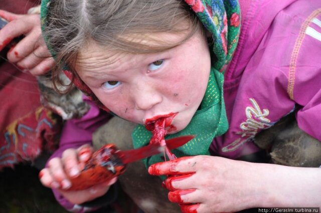 Жизнь и быт на Ямале Жизнь и быт на Ямале