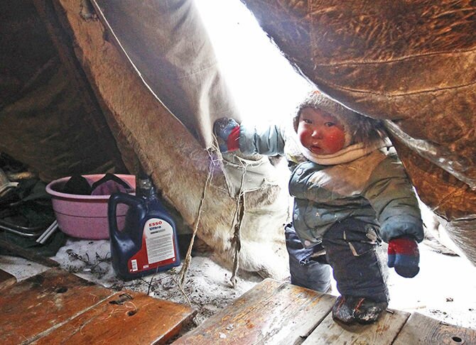A Nenets boy enters a traditional tent called a chum, at a reindeer breeders' settlement in the Tundra region, 50 km (31 miles) from the north Russian town of Naryan-Mar