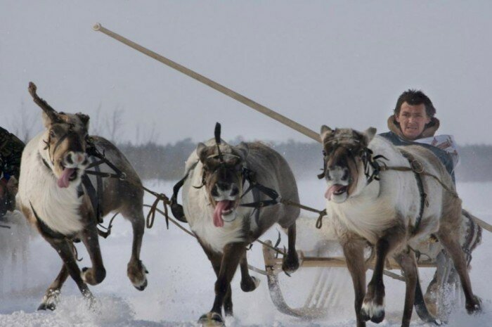 Khanty-Mansi-1