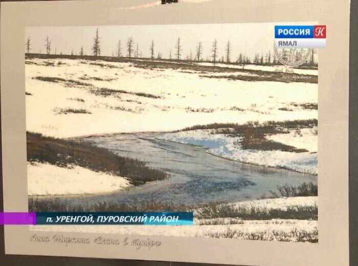 fotokonkurs-4jpg20150724184530000000fotokonkurs-4