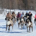 iengra_44